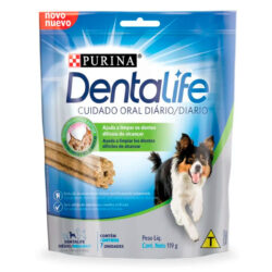 Salud dental