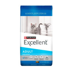 EXCELLENT Adult Cat - CO